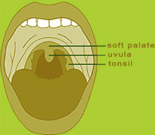 mouth